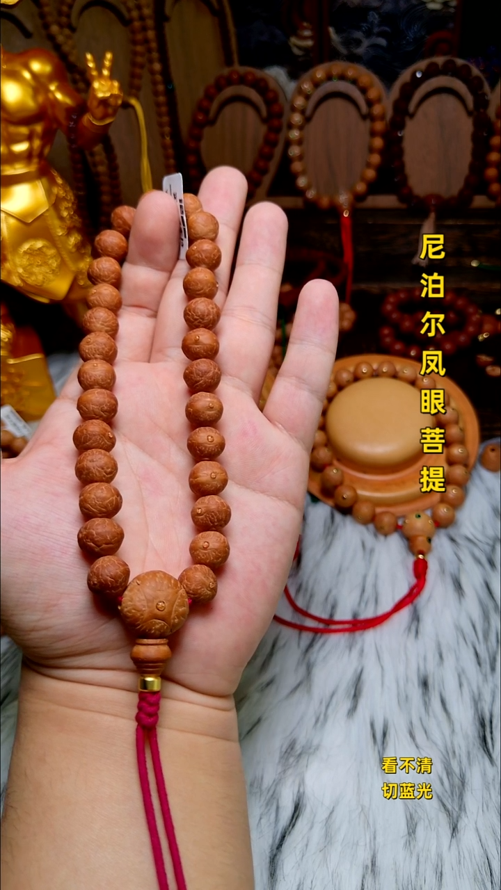手串凤眼菩提实心子12手持
