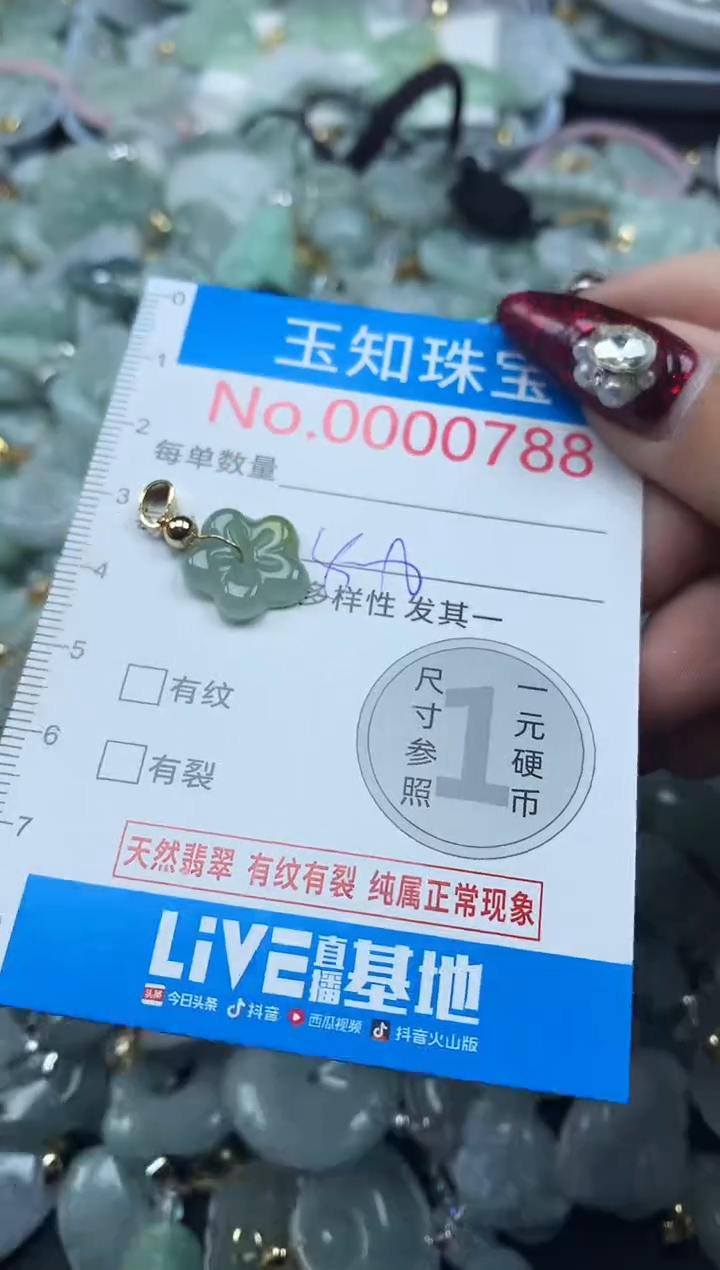 颈饰未镶嵌翡翠788