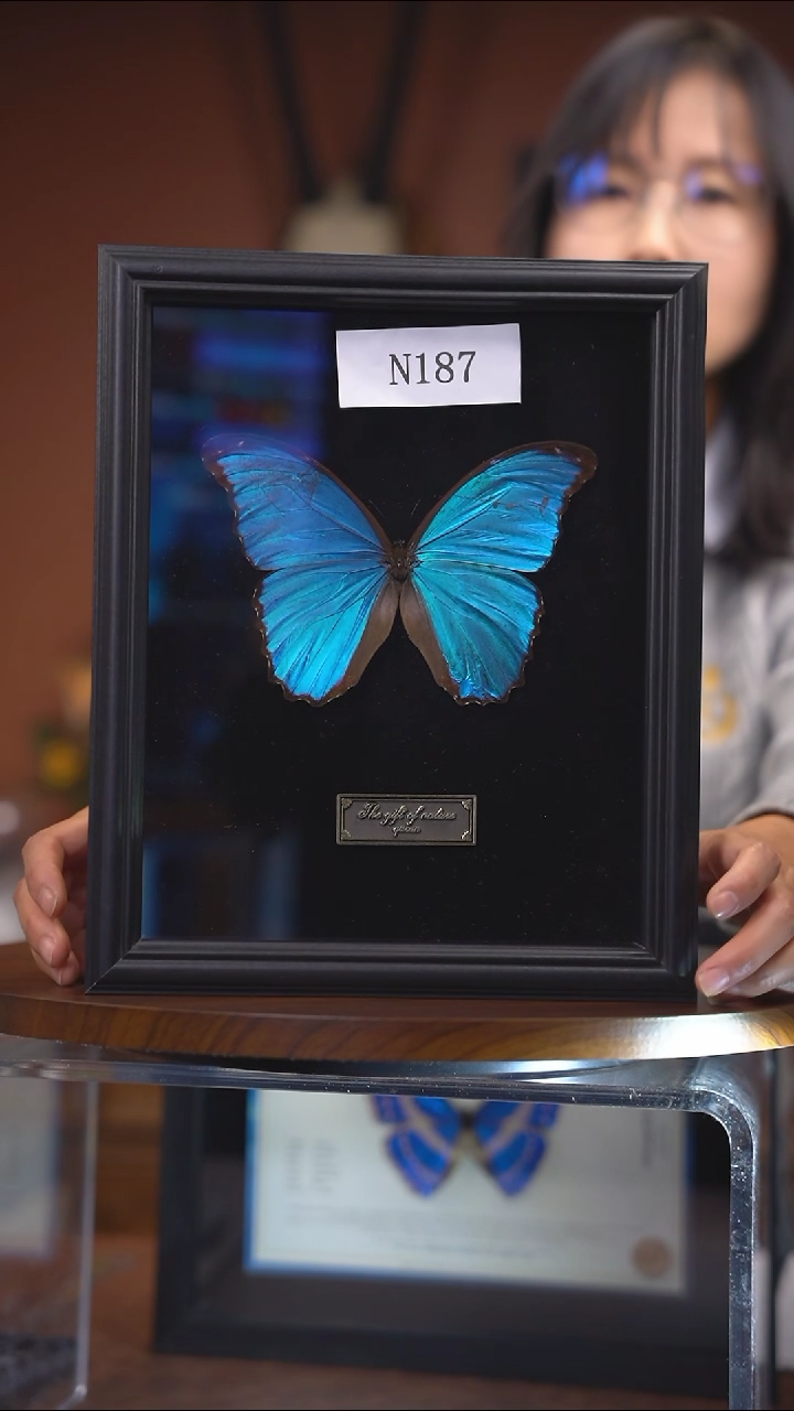 N187 大蓝闪瑕疵  一图一物
