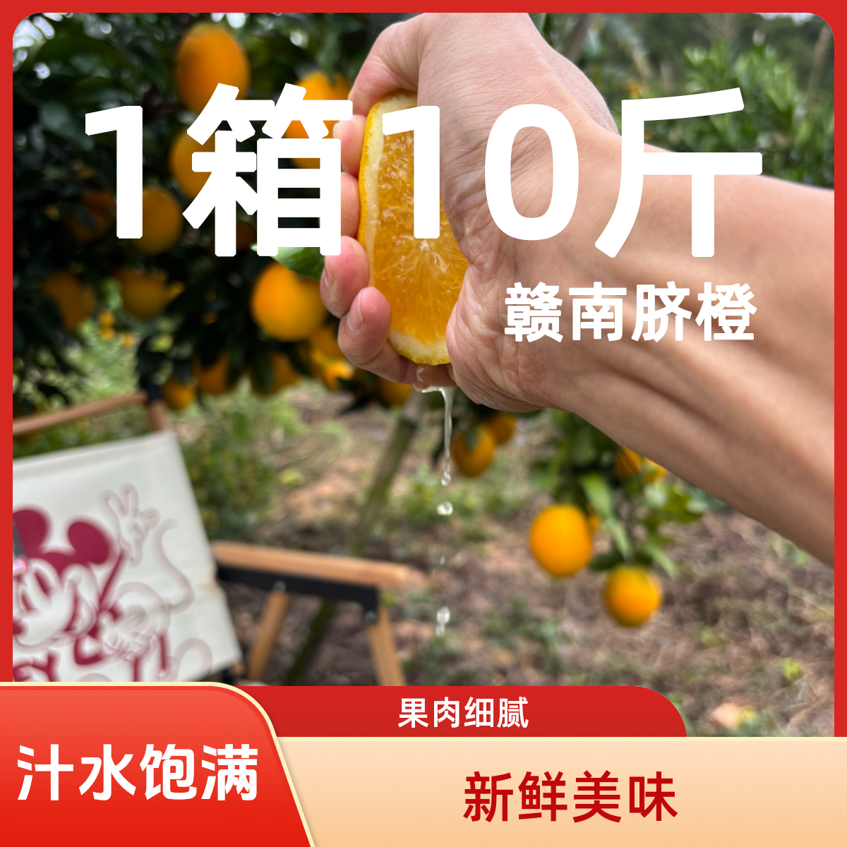 精品10斤彩盒正宗江西赣南脐橙产地直发果园新鲜应季水果顺丰包邮