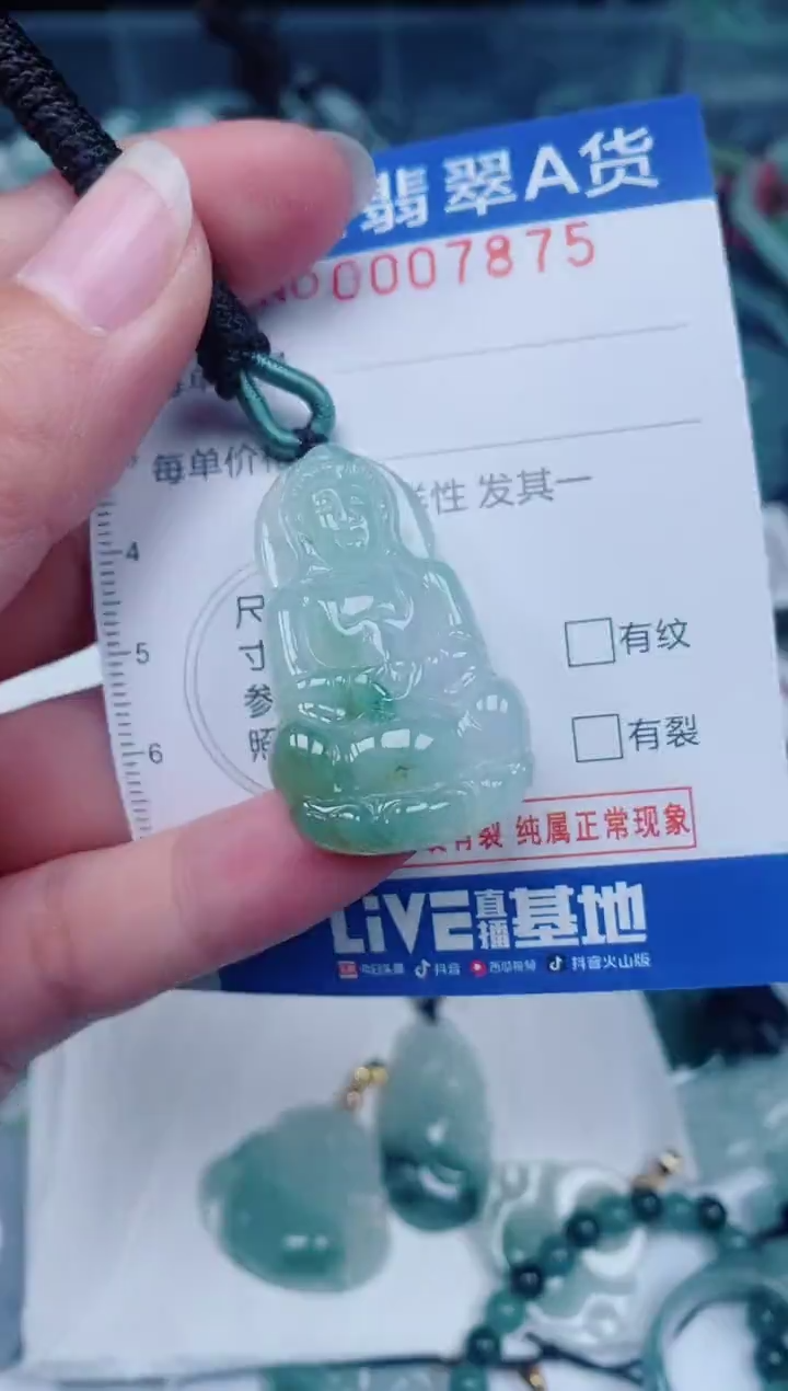 颈饰未镶嵌翡翠00007875