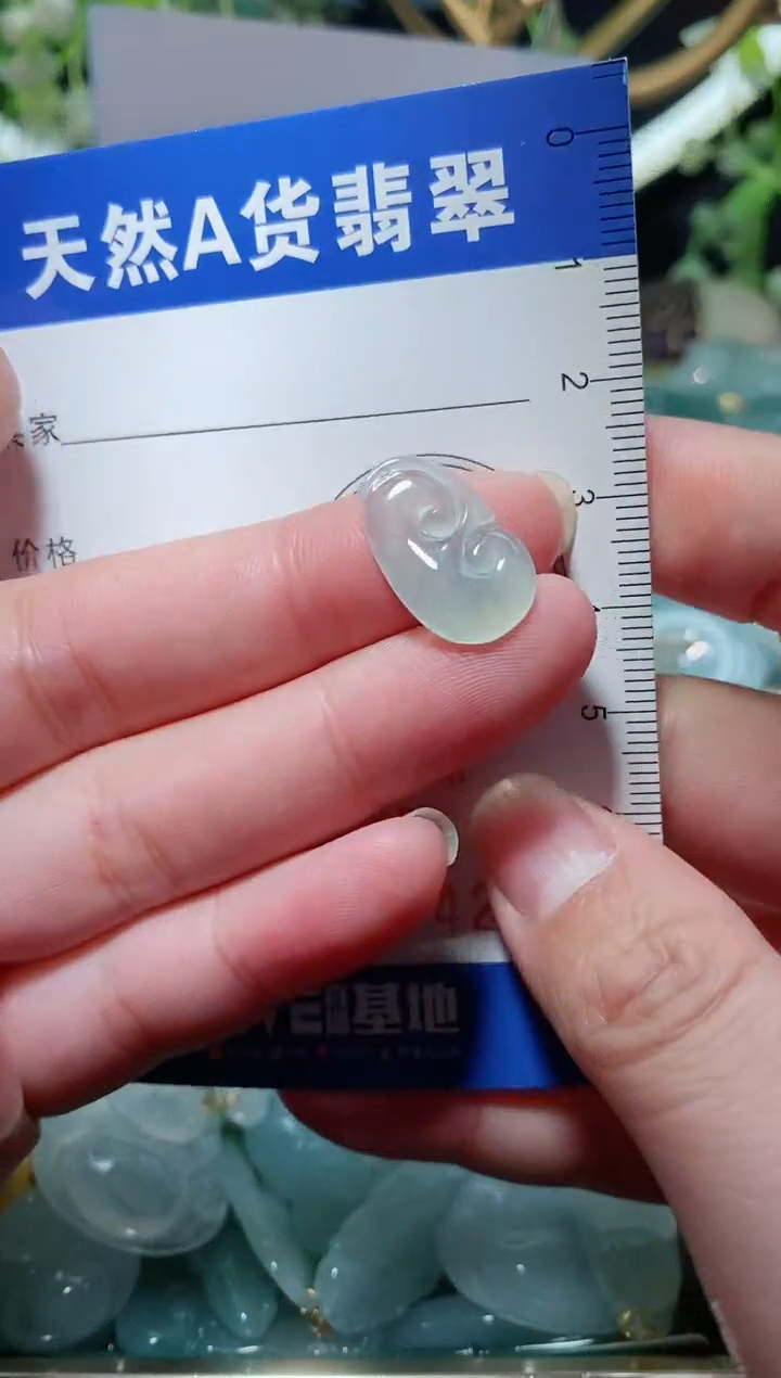 【闪购商品】翡翠颈饰未镶嵌天然A货翡翠一件