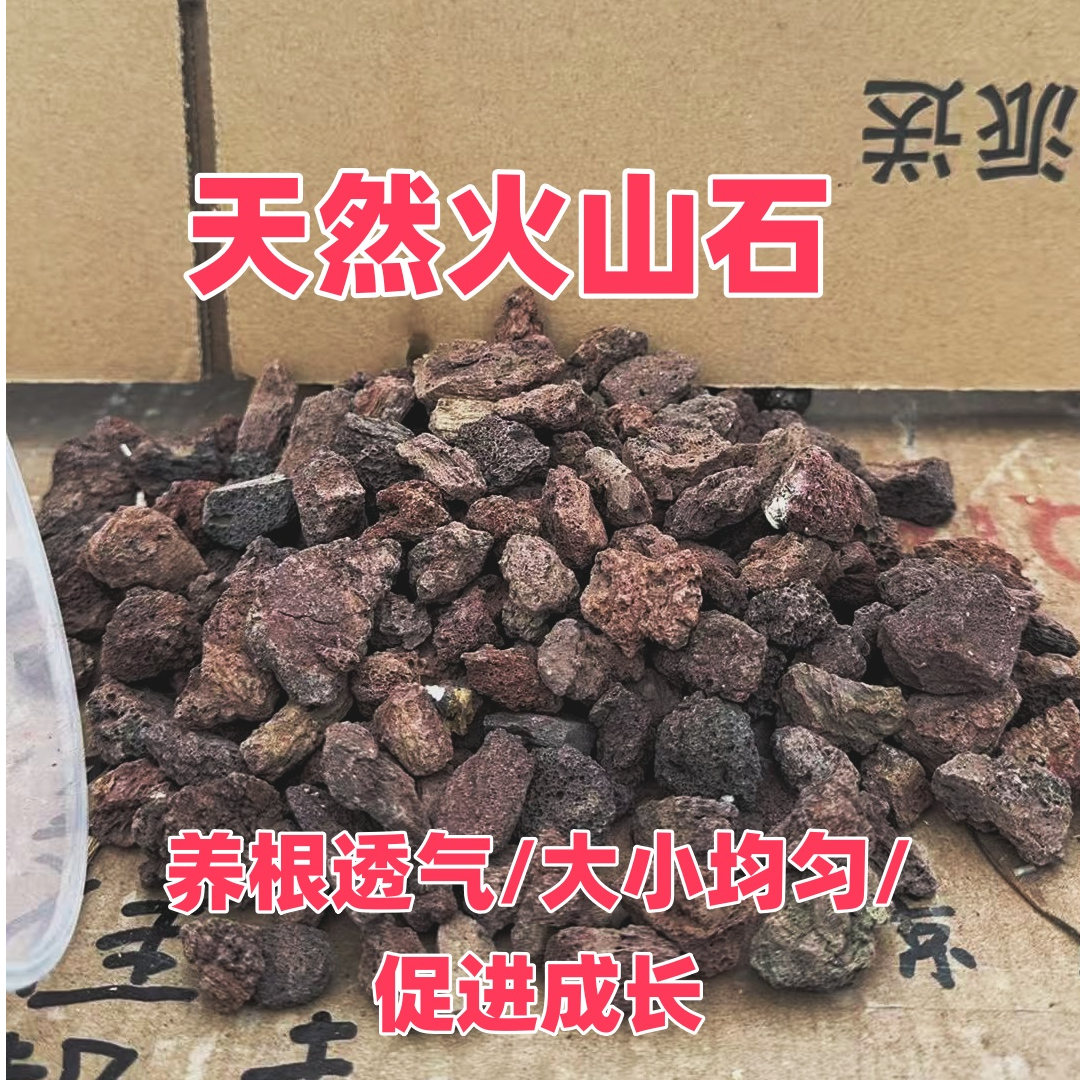 火山石颗粒多肉兰花蝴蝶兰专用营养土 养根透气防烂根促进生长