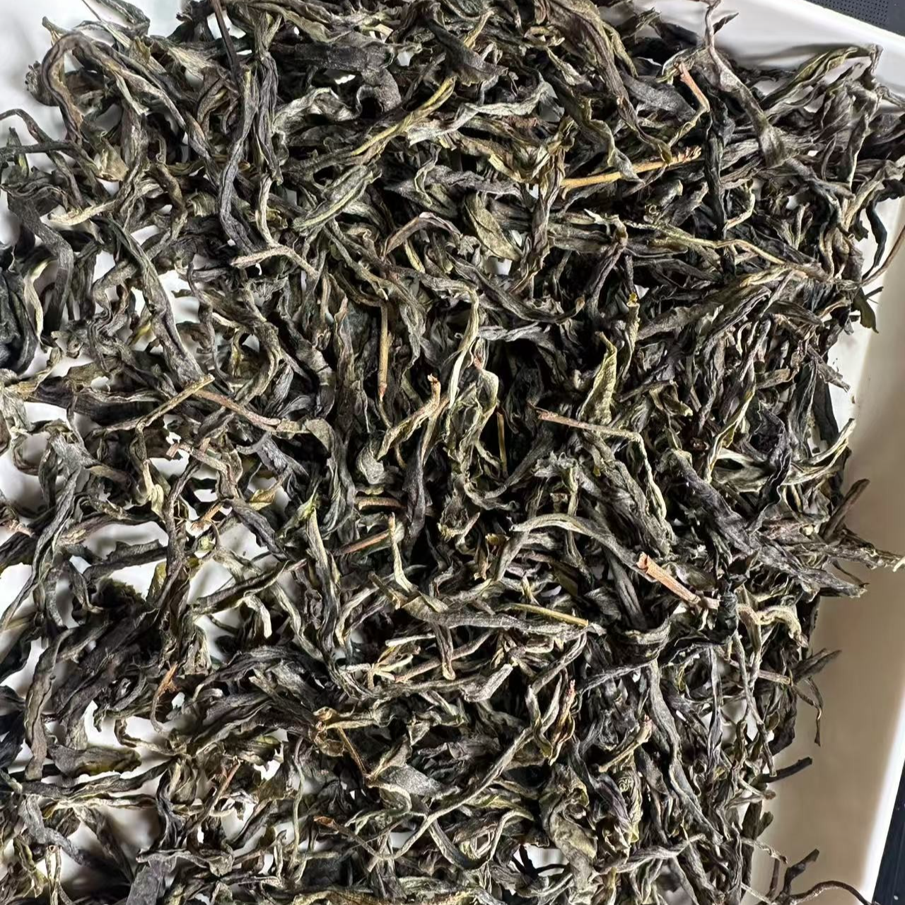 (CN509)cwl/2020年春/正气塘古树+小村古树/晒青毛茶/1000g散装