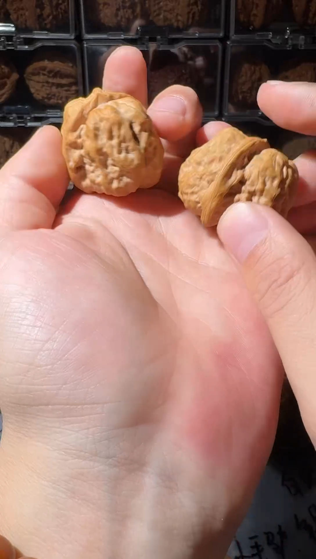 把件文玩核桃蛤蟆头