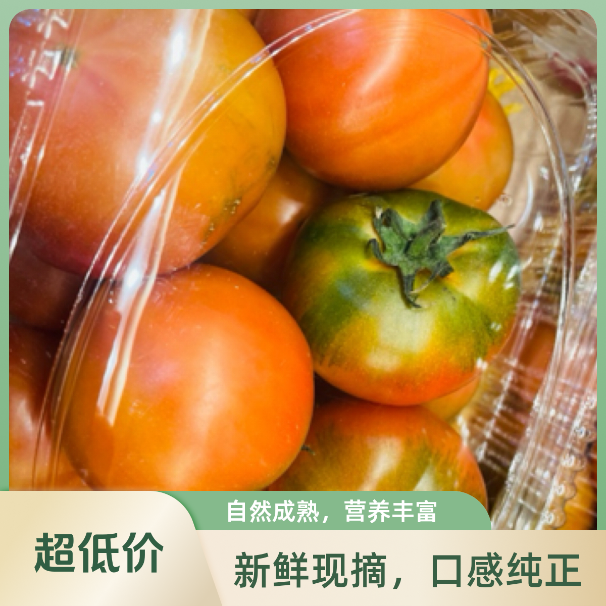 盘锦鹰爪柿子。    