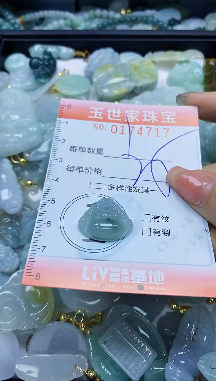 【闪购商品】翡翠颈饰未镶嵌闪购0174717