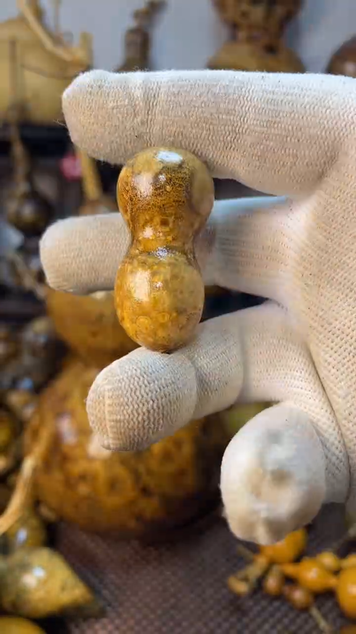 【闪购商品】葫芦葫芦葫芦葫芦葫芦葫芦葫芦
