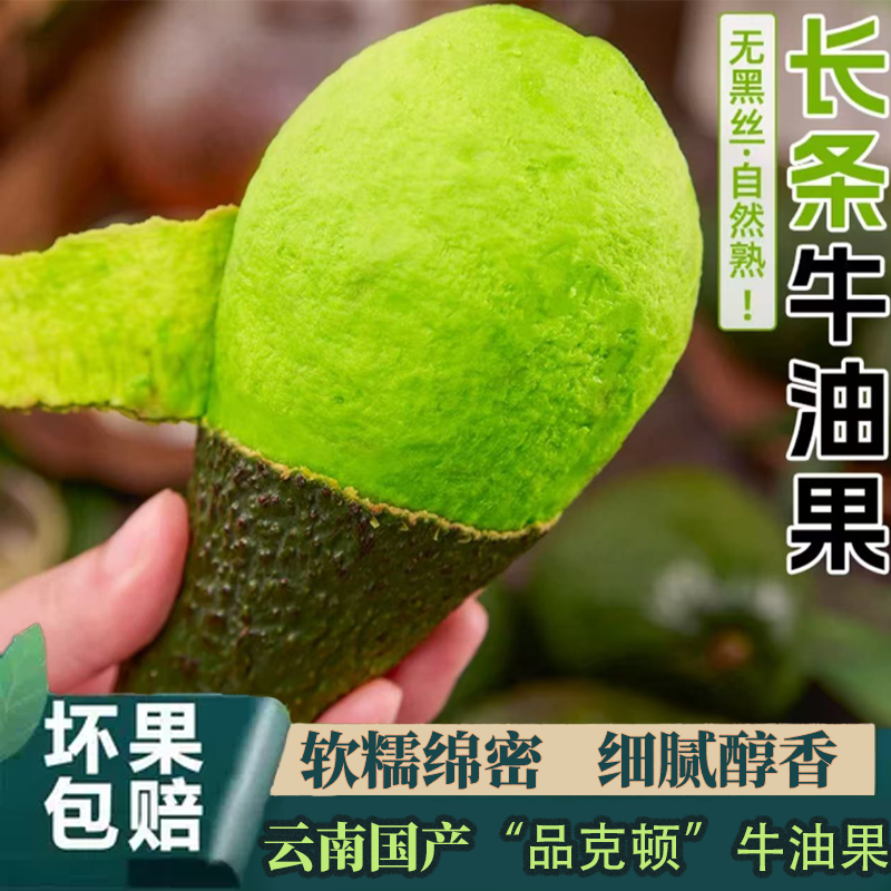 正宗云南品克顿牛油果树熟现摘精品鳄梨枚枚超大果*整箱2斤3斤5斤