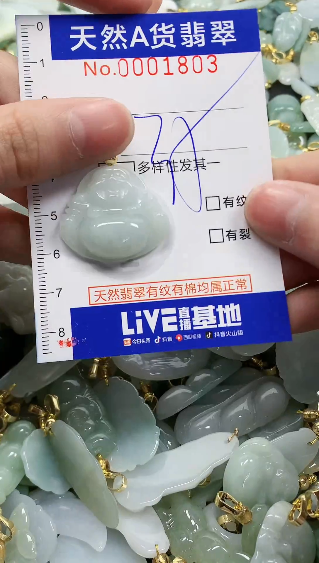 颈饰未镶嵌翡翠纯天然a货翡翠