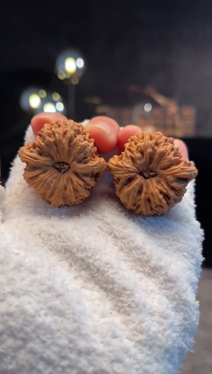 吊坠文玩核桃C***་南将