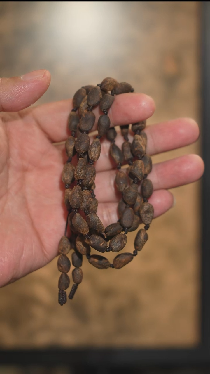 沉香手串海南绿奇楠沉水树丁虫漏长串23克 多样性发一