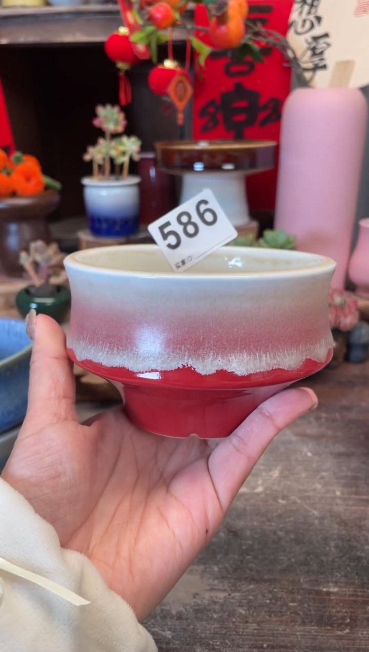 【闪购商品】摆件586知木小芳花盆