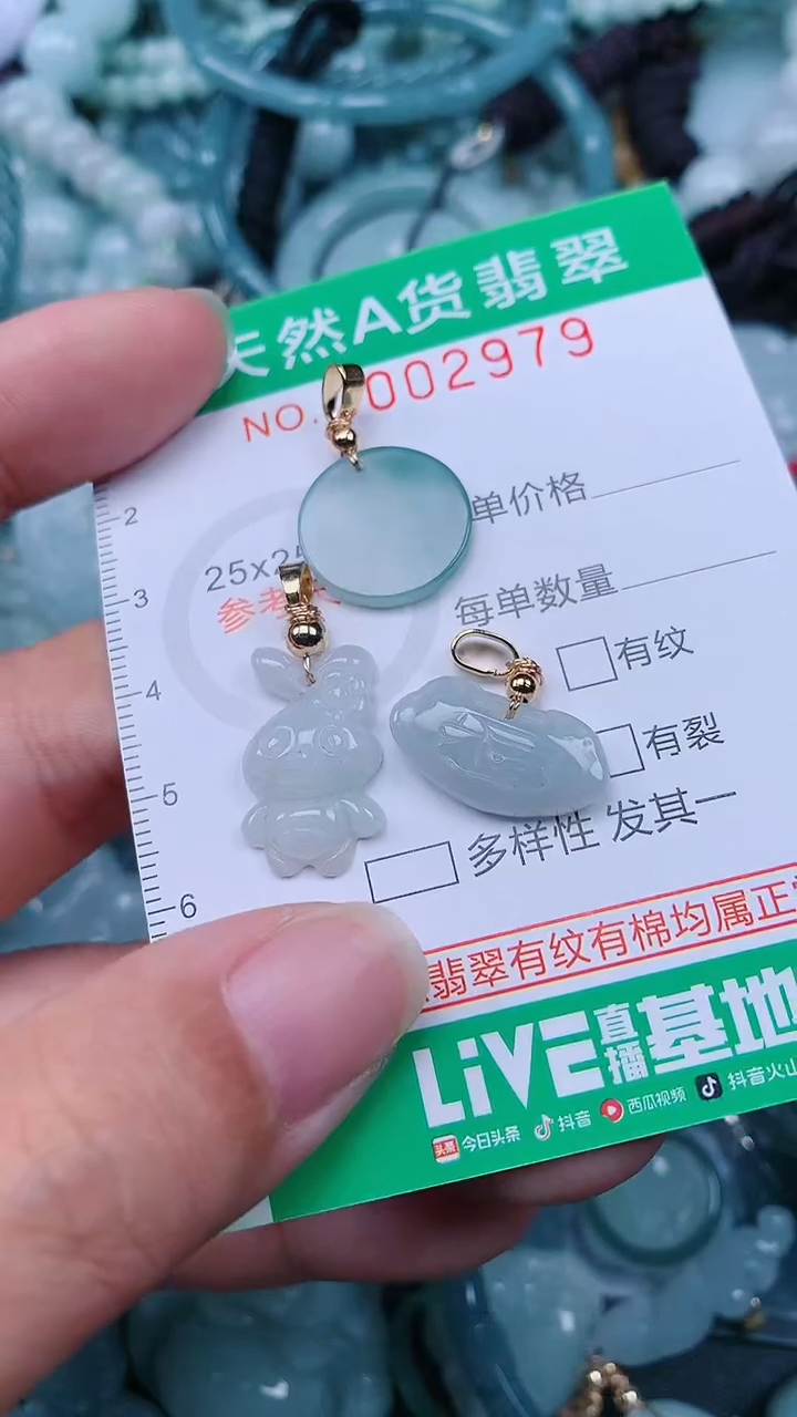 颈饰未镶嵌翡翠.0002979