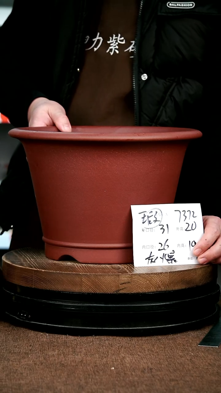 紫砂花盆花卉园艺7372