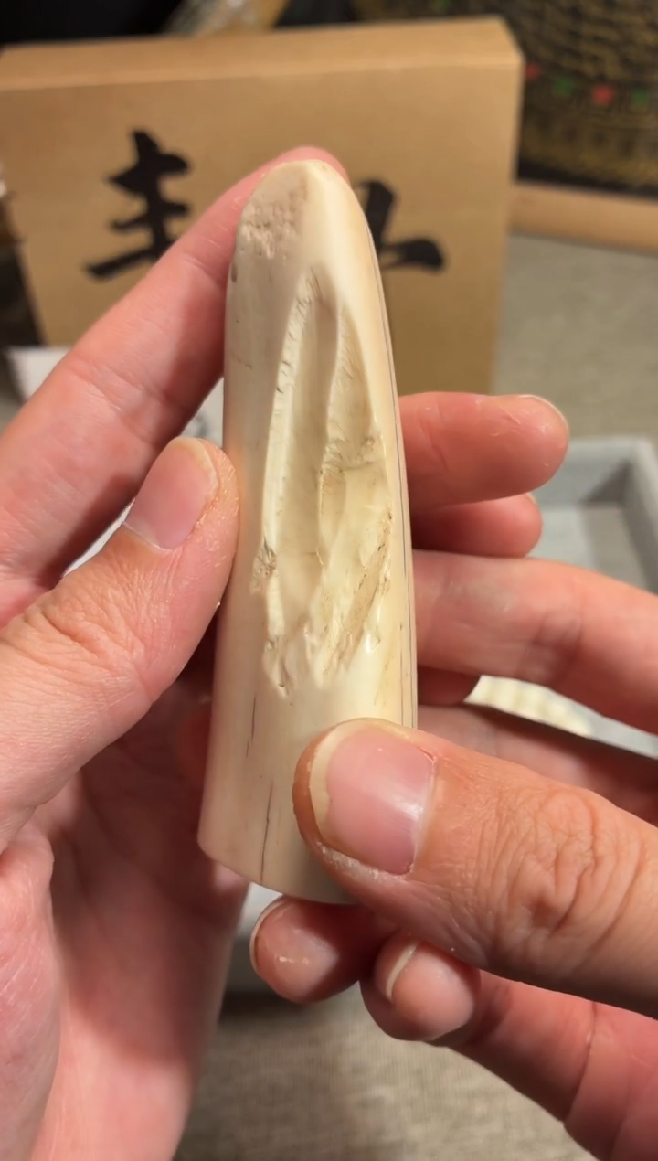 其他猛犸象牙闪购517虬系列尖子93*38*26mm