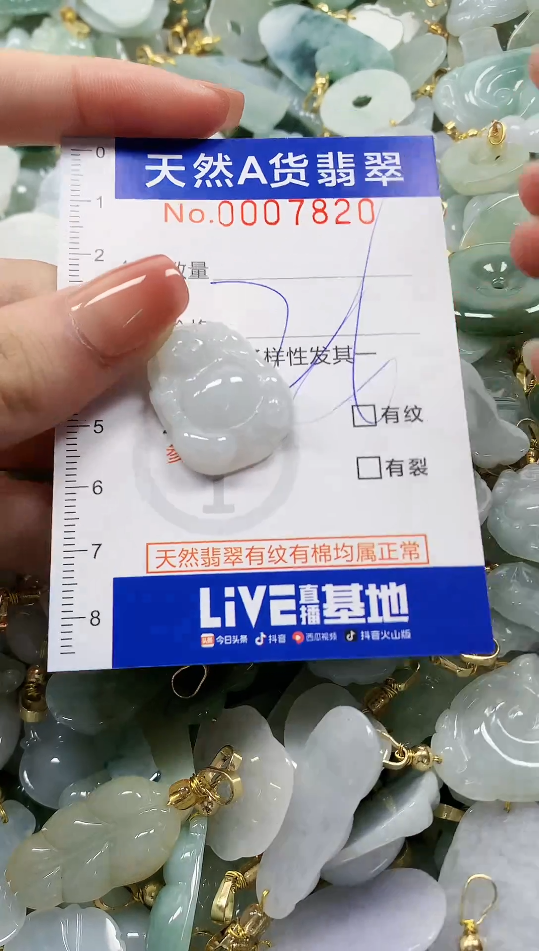 颈饰未镶嵌翡翠纯天然a货翡翠