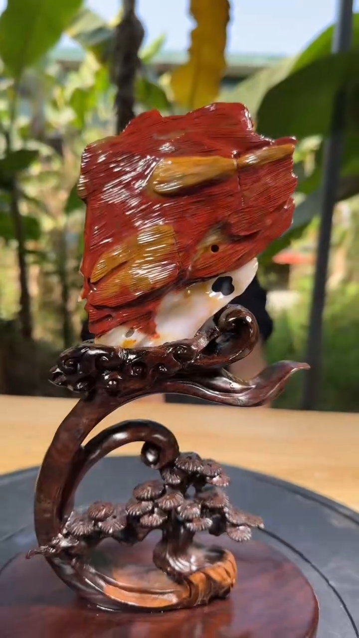 【闪购商品】硅化玉珠宝奇石未镶嵌拍一发一