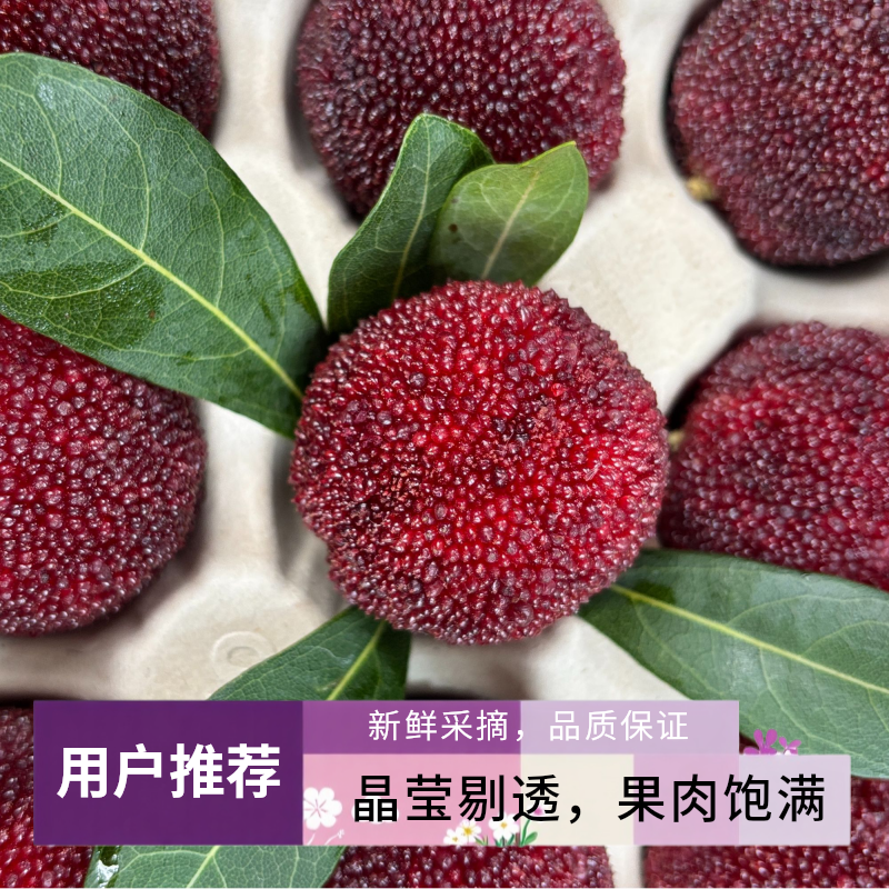 《顺丰冷链包邮》中果正宗浙江台州仙居东魁杨梅新鲜现摘水果酸甜可口回味无穷现摘现发真空包装明天到浙江省