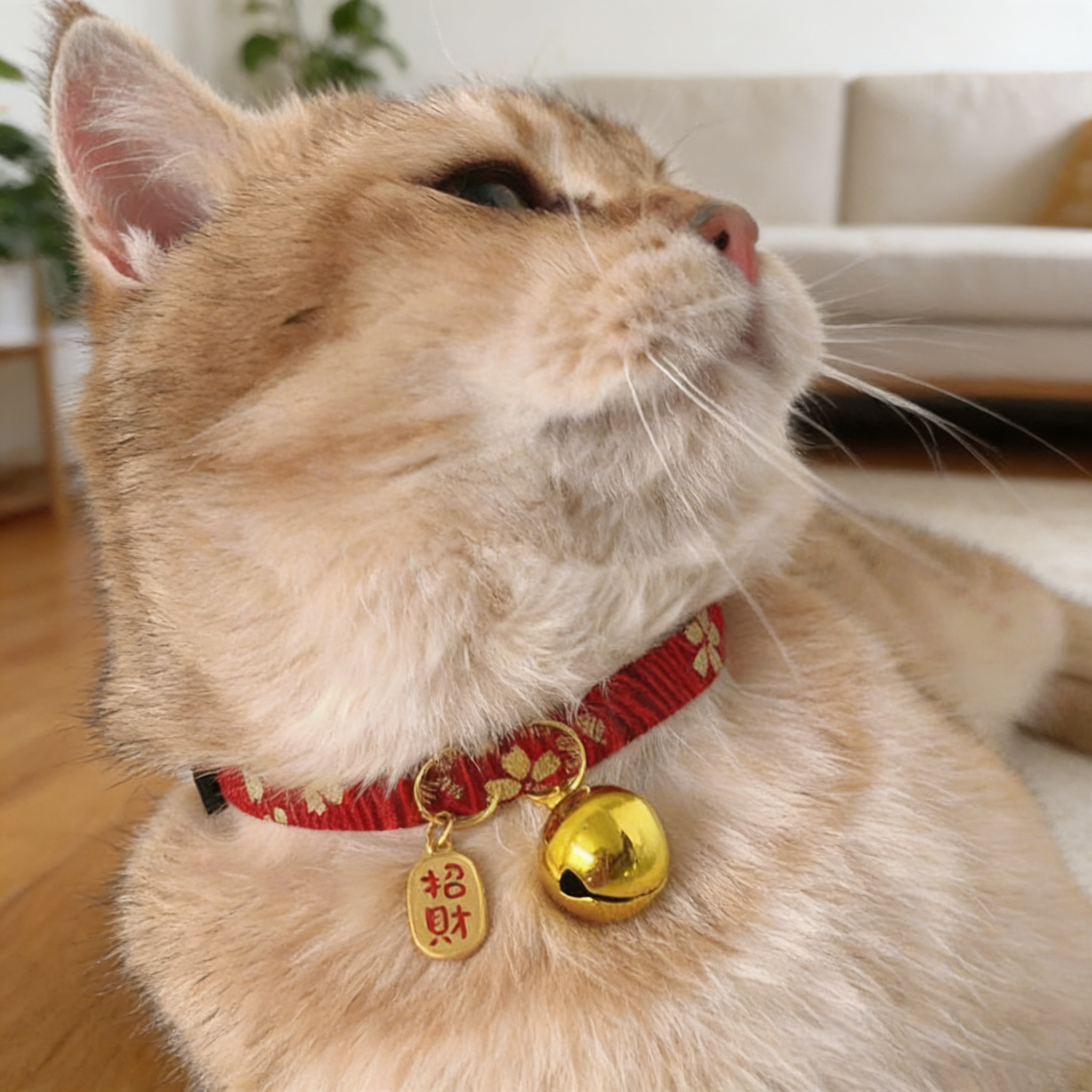 猫咪项圈猫咪项圈平安锁新年铃铛狗项圈宠物脖圈饰品吊坠项链挂牌