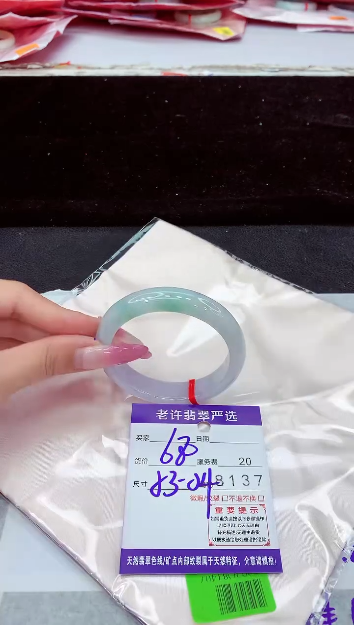 未镶嵌手镯翡翠1