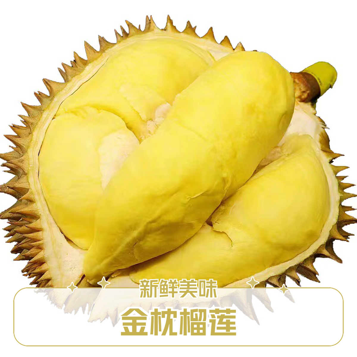 金枕榴莲一个（一物一拍）