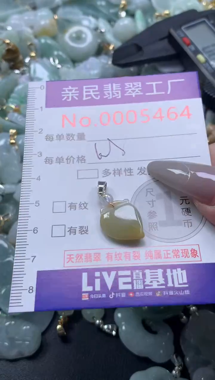 颈饰未镶嵌翡翠5464