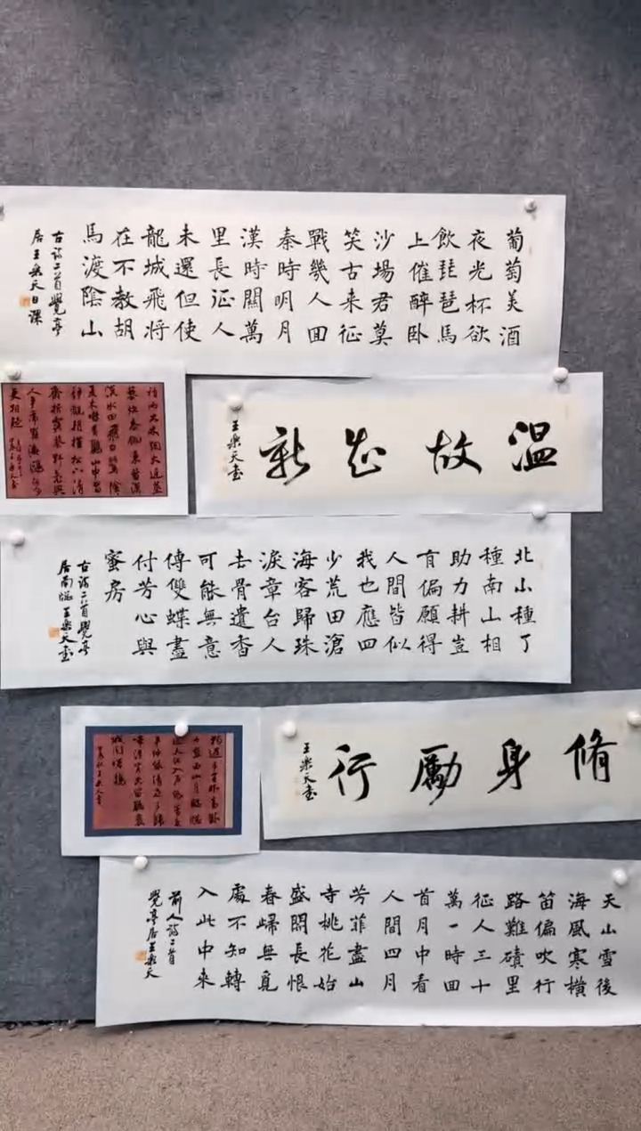 【闪购商品】书法pmb不二轩旗舰店国画WLT36
