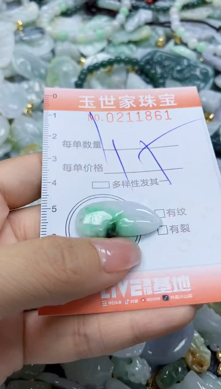 【闪购商品】翡翠颈饰未镶嵌闪购0211861