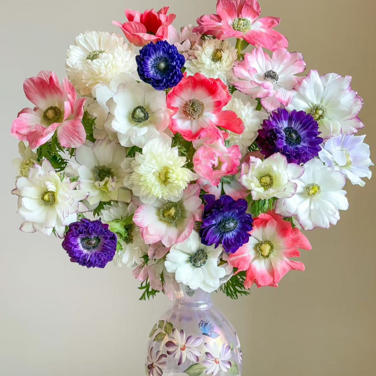 【一单不售后|银莲花】新手友好  秋牡丹  稀缺小众花材 鲜切花 