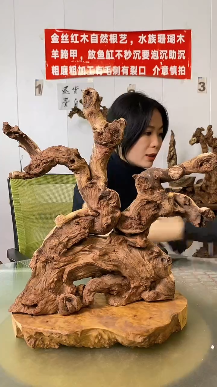 香榧木郑**和金丝红木 羊蹄甲