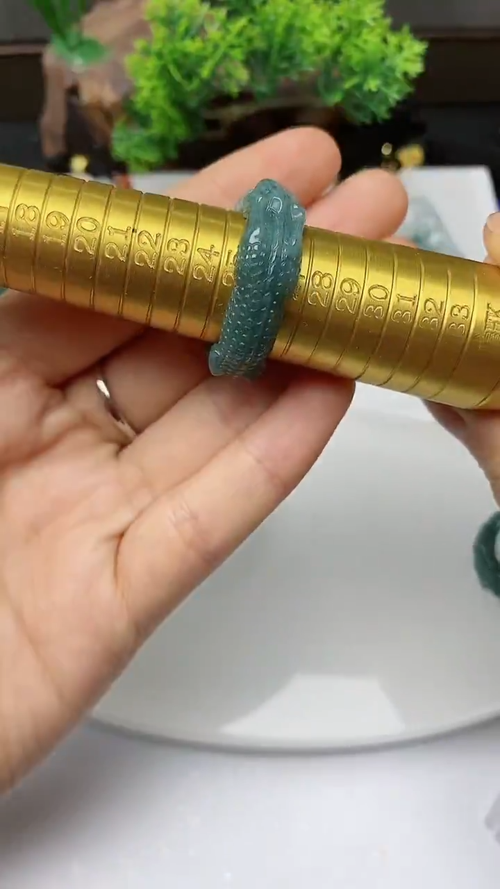 【闪购商品】翡翠颈饰未镶嵌         