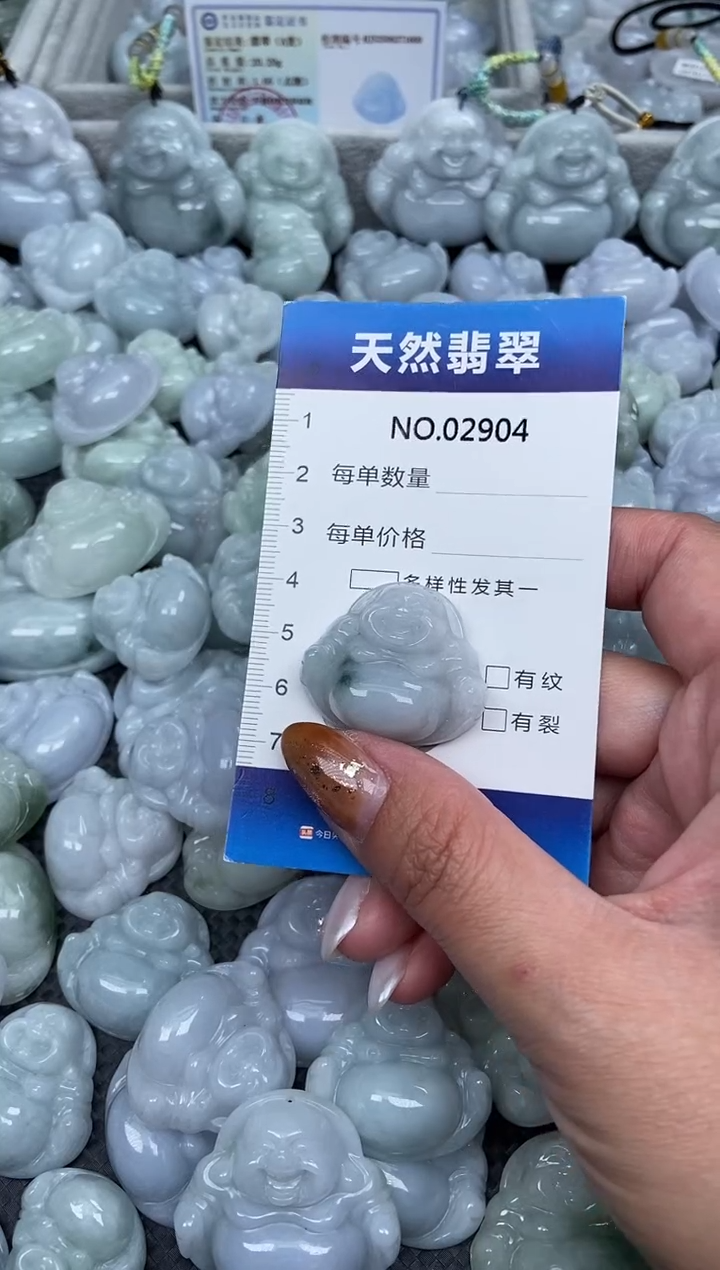 颈饰未镶嵌翡翠纯天然A货翡翠2904