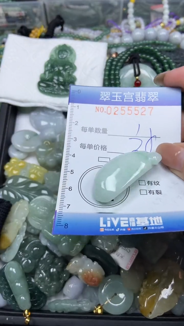 颈饰未镶嵌翡翠闪购C0255527