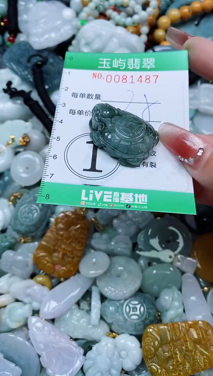 【闪购商品】翡翠颈饰未镶嵌闪购0081487