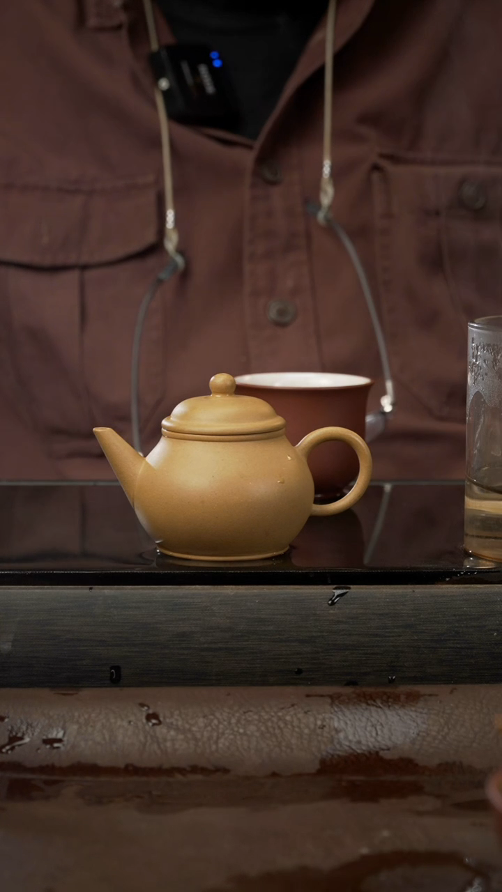 茶壶紫砂3 芭乐水平 原矿紫砂壶