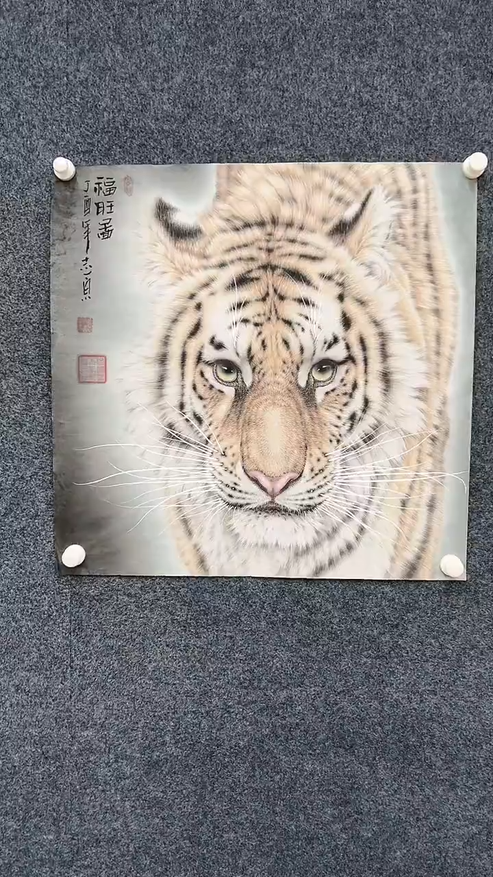 【闪购商品】国画2.9郑志宗斗方虎127