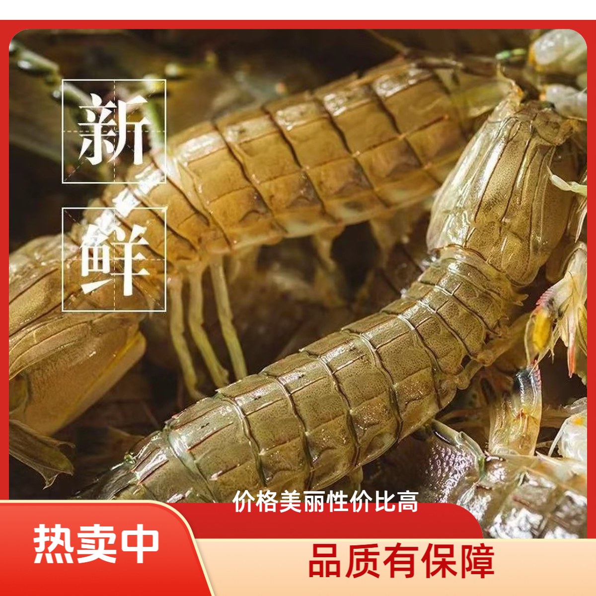 【保鲜不保活】本地皮皮虾 3-5斤 天津同城当天到