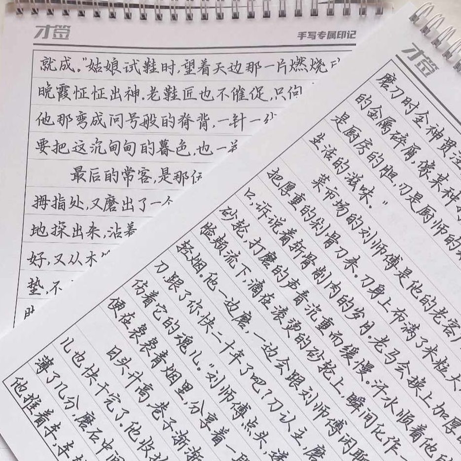 简心柔楷体行楷字帖成人练字临摹书法学生漂亮字体手写练字本