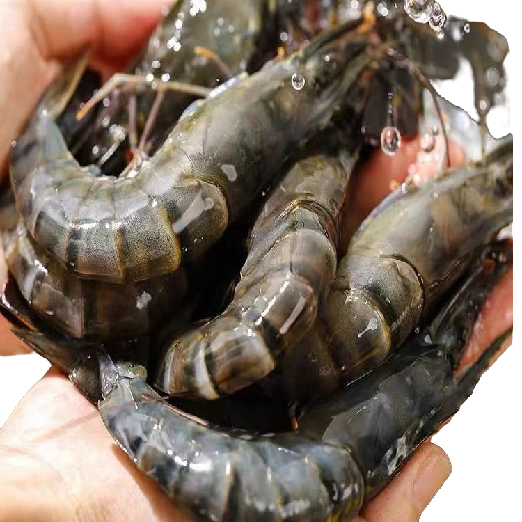 RL【黑虎虾3斤-虾中之王】 肉质鲜甜脆嫩14-18cm一盒3斤40-60只 今天发明天到