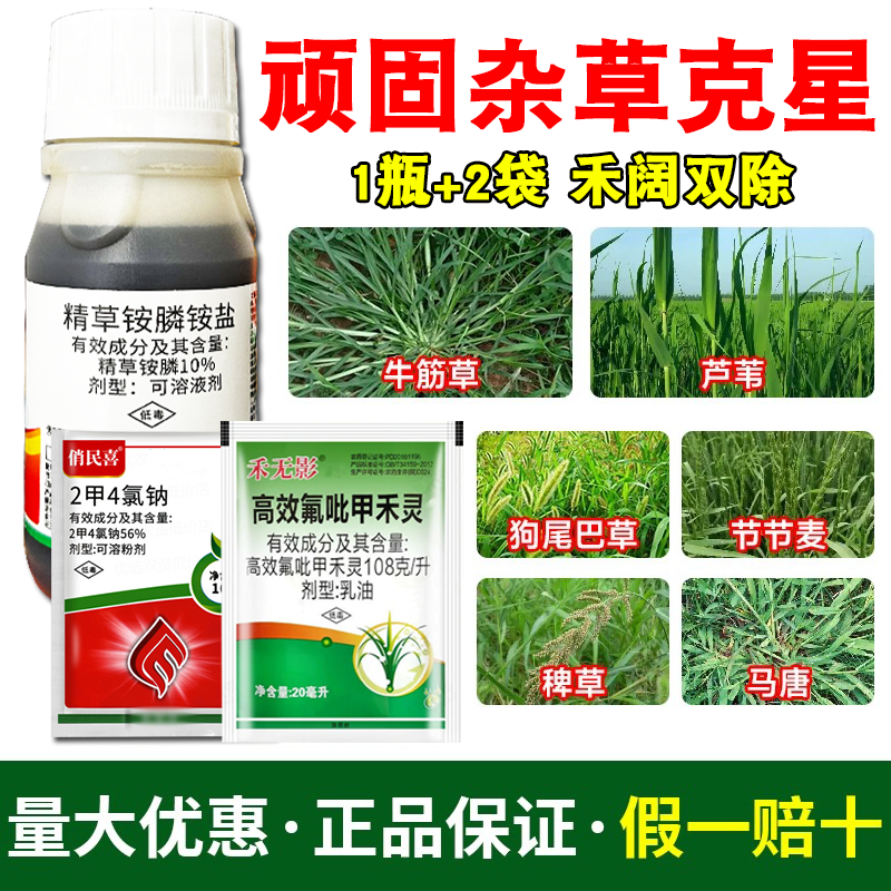 颂秧精草铵膦铵盐除草剂水花生牛筋草小飞蓬多药复配尖叶圆叶除草