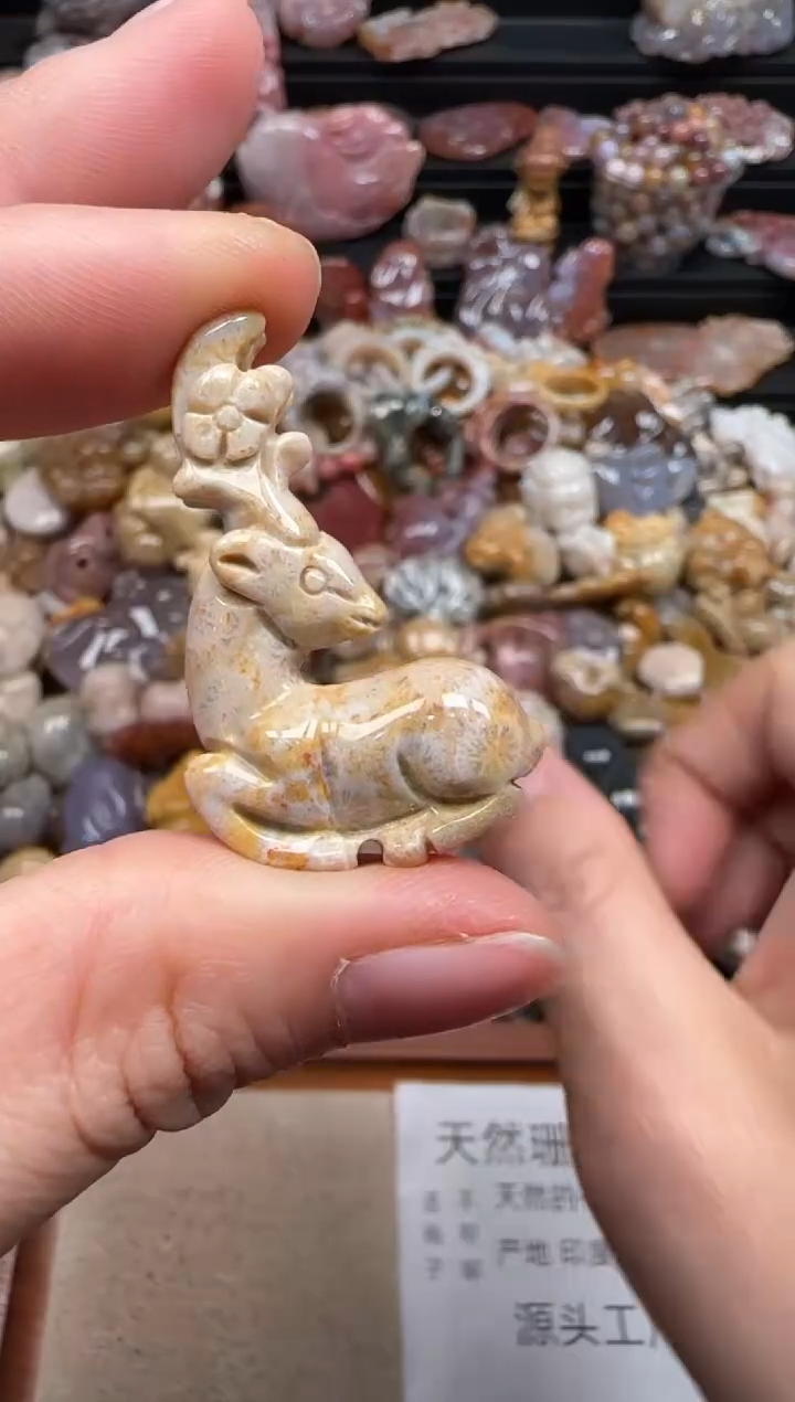 【闪购商品】硅化珊瑚（珊瑚玉）颈饰未镶嵌654