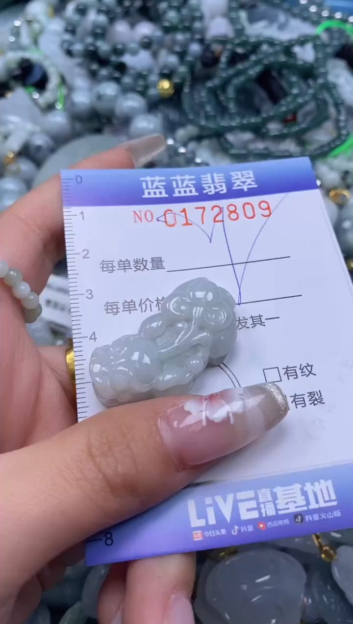 【闪购商品】翡翠颈饰未镶嵌闪购0172809