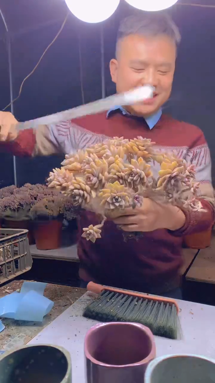 【闪购商品】缀化199