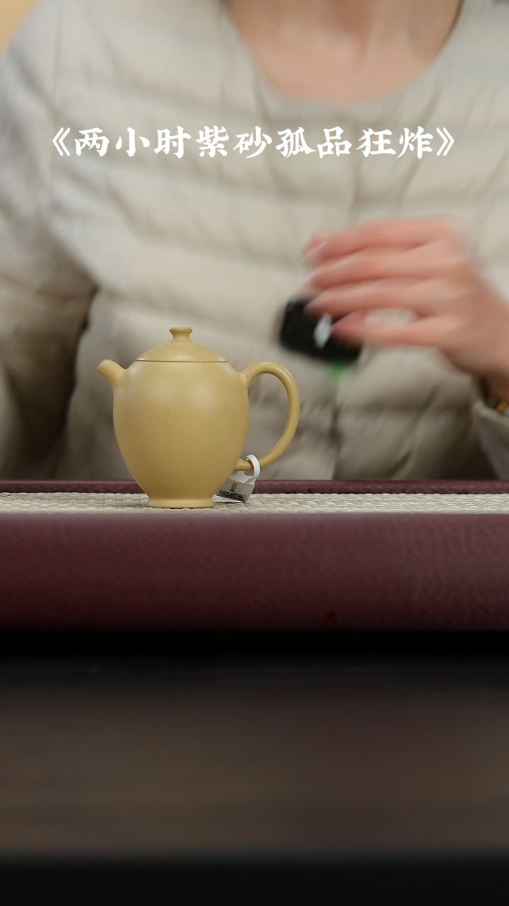 【闪购商品】紫砂茶壶紫砂壶GP专区100cc013