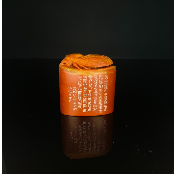 篆刻朱江浩X53138光阴且向闲中过