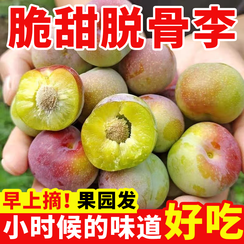 【果园现摘】正宗四川脱骨李子脆红茵红青脆李蜂糖味空心李甜水果