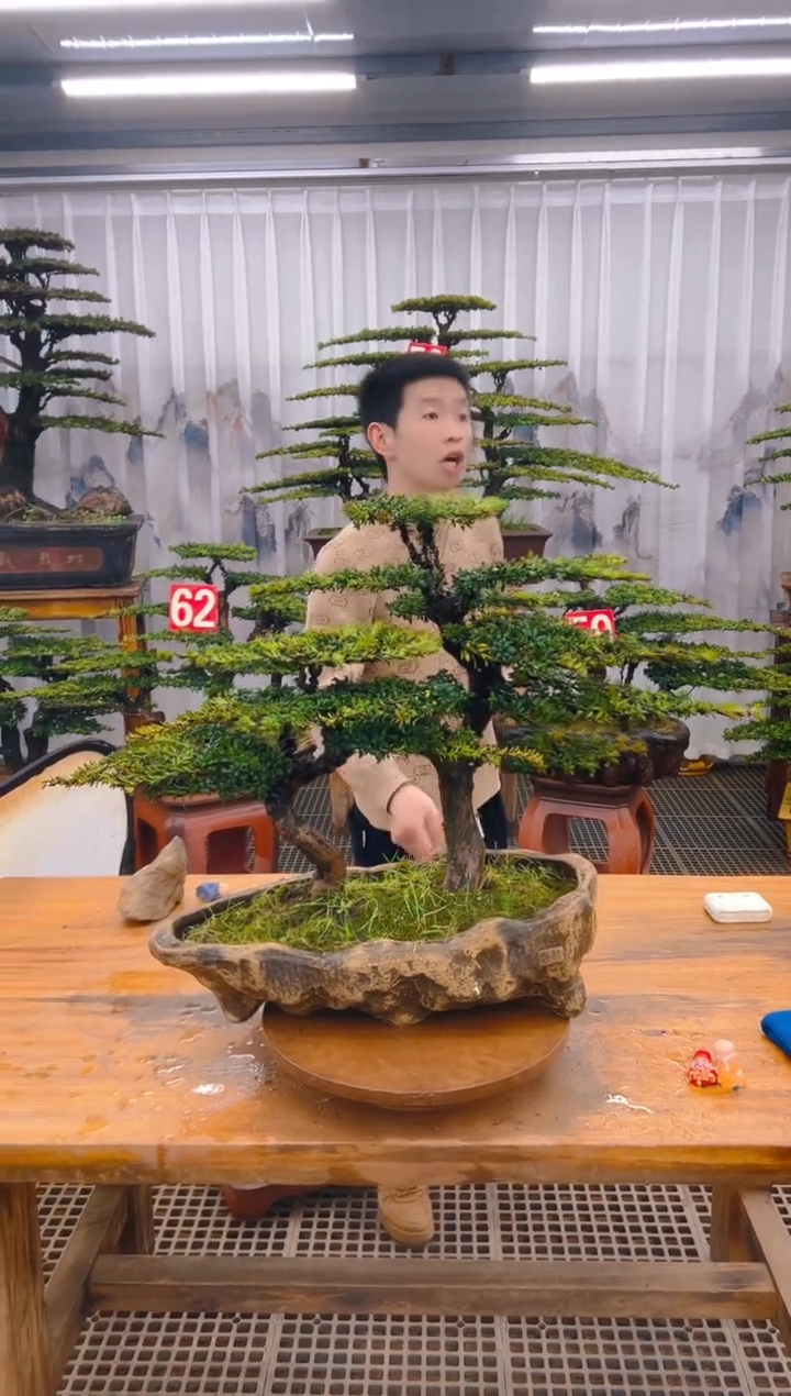 【闪购商品】紫砂精品盆景直播间一物一拍