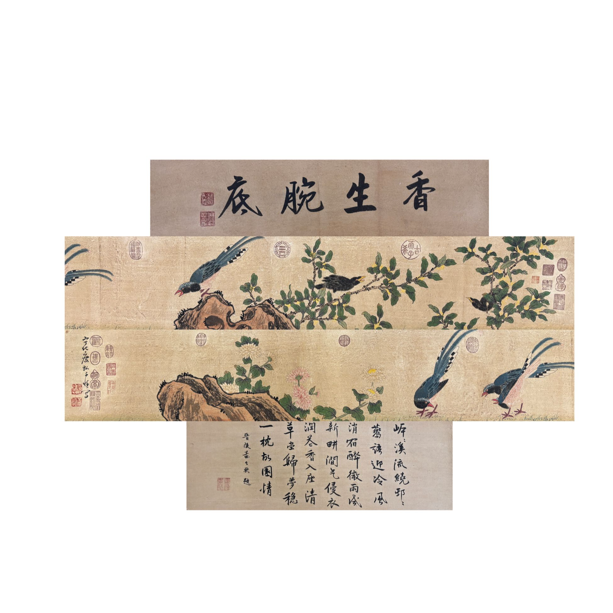 黄慎《花鸟长卷》YHY1-137—22X226cm    