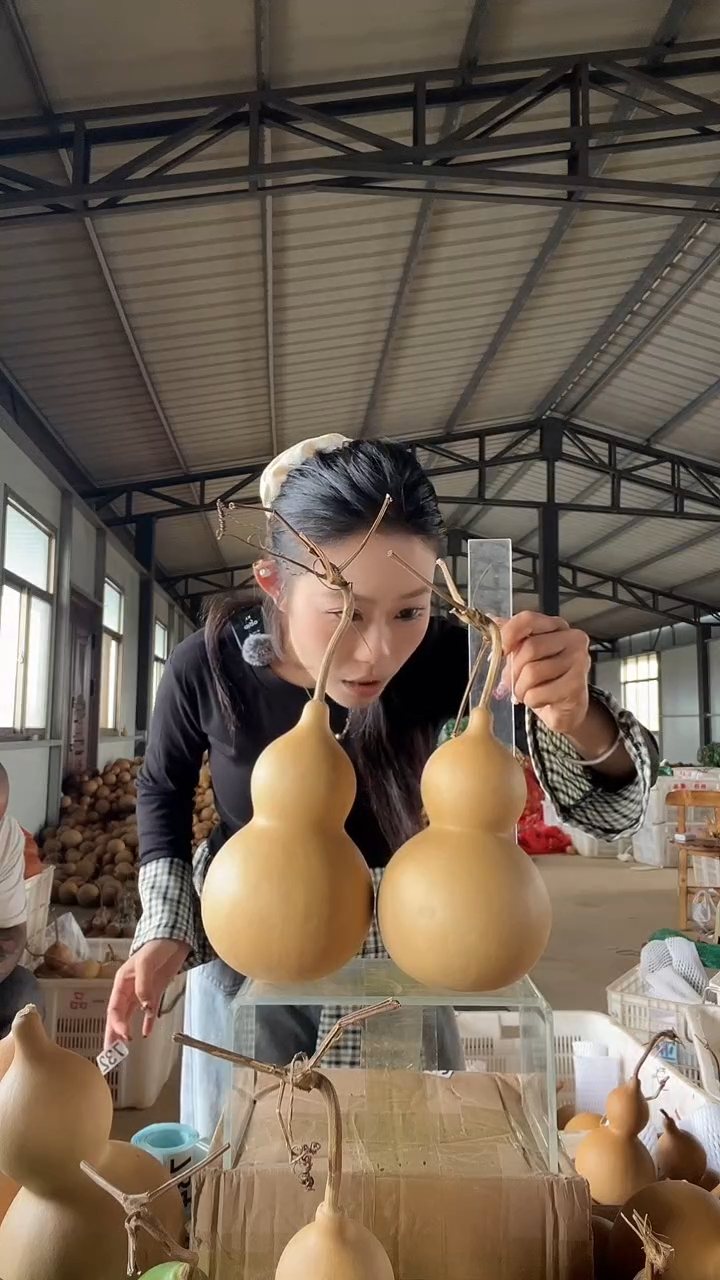 无花朵732天然葫芦摆件 一物一拍龙头不保售后两个